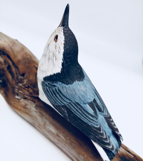 White-Breasted Nuthatch $700 at Hunter Wolff Gallery